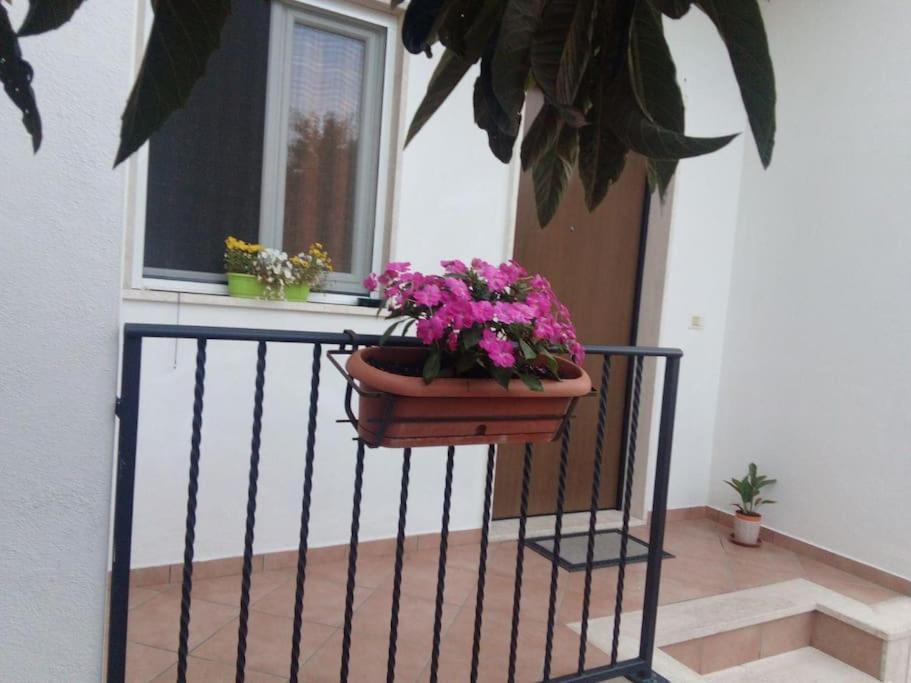 Casa Di Cristina Apartment Fiumicino Bagian luar foto