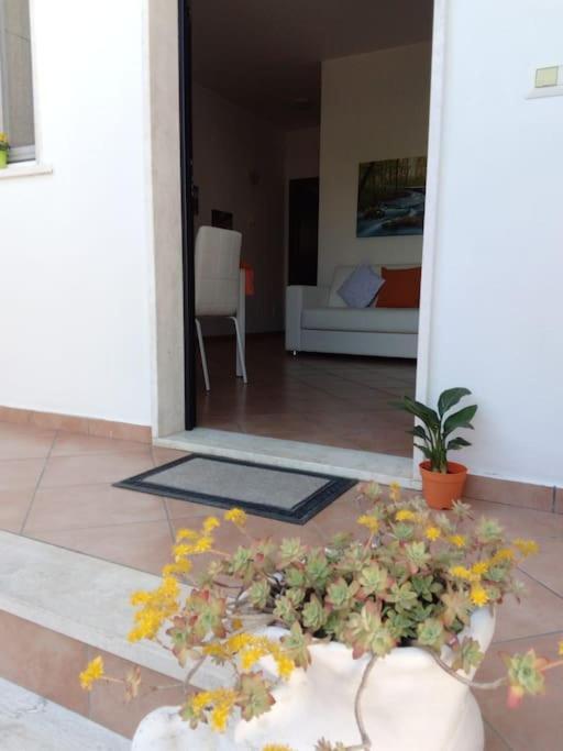 Casa Di Cristina Apartment Fiumicino Bagian luar foto