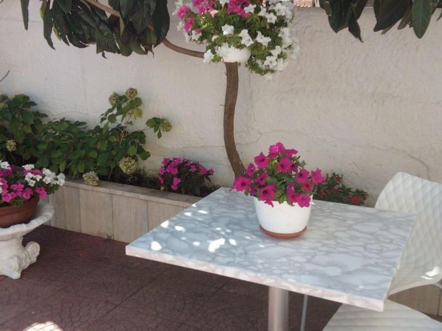 Casa Di Cristina Apartment Fiumicino Bagian luar foto
