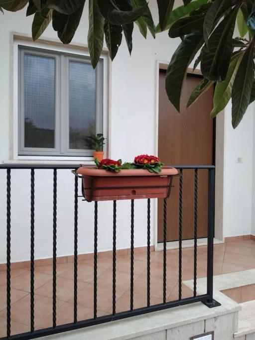 Casa Di Cristina Apartment Fiumicino Bagian luar foto